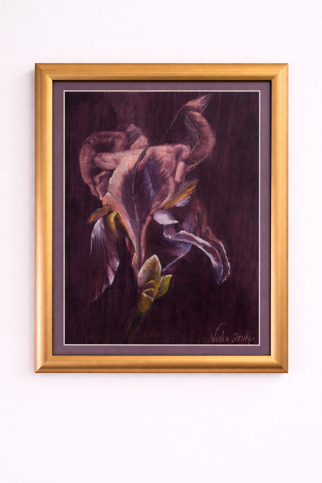 Iris